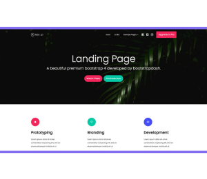 Digital Myntro Landing Website Pic -Best Digital Marketing Agency From Kanpur